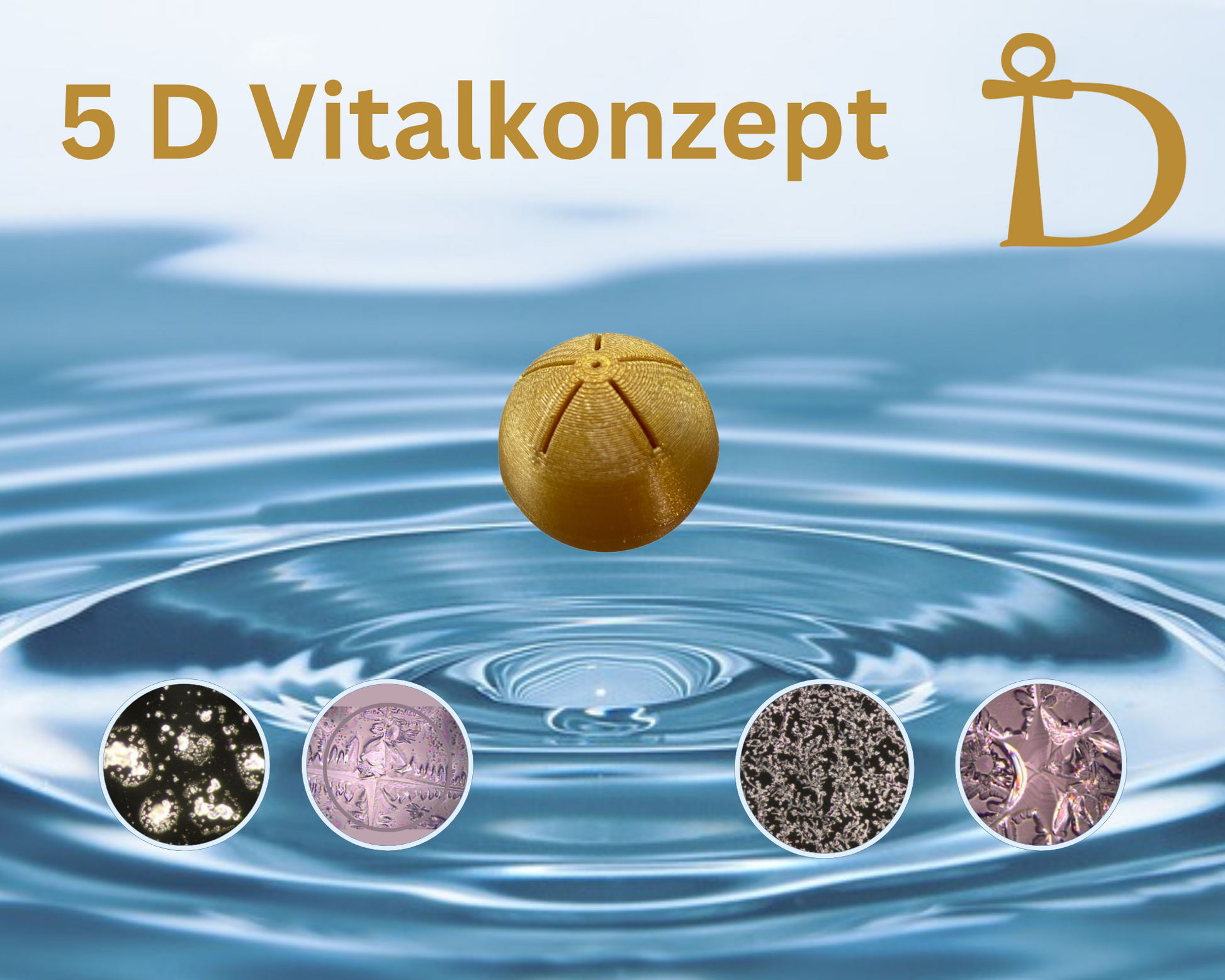 5D QuantenVitalDuschmodul